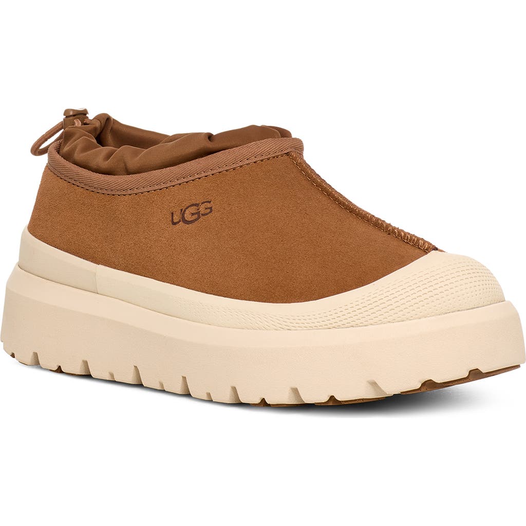 Ugg Boots In Chestnut/whitecap