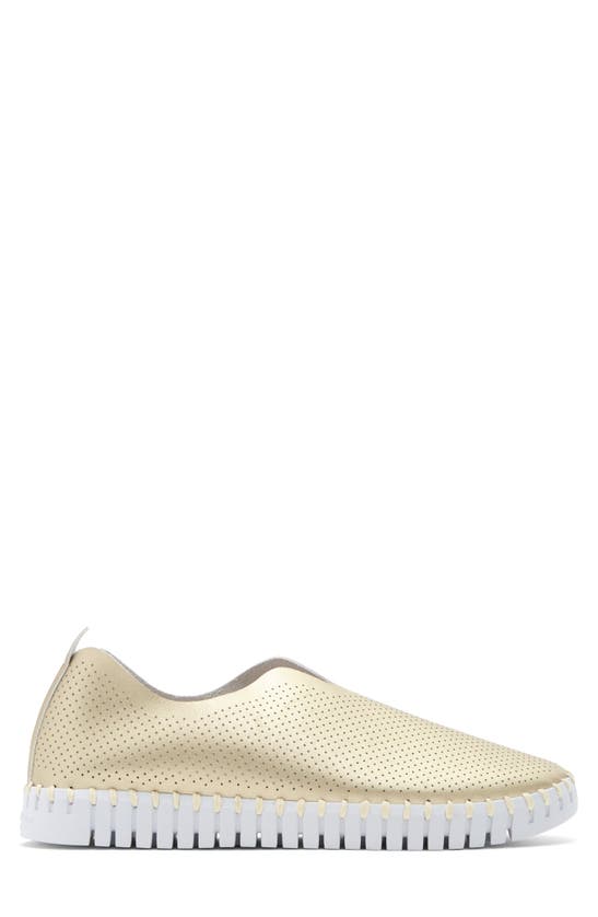 Shop Ilse Jacobsen Tulip Perforated Slip-on Sneaker In Platin