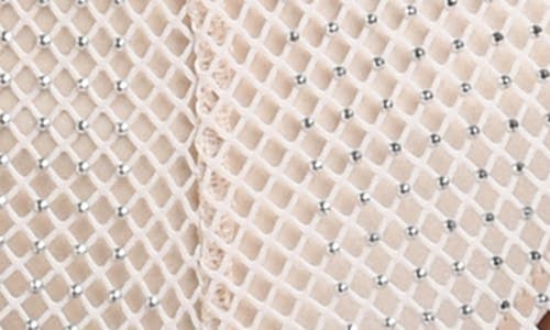 L Agence L'agence Noemi Wide Leg Mesh Cover-up Pants In Champagne