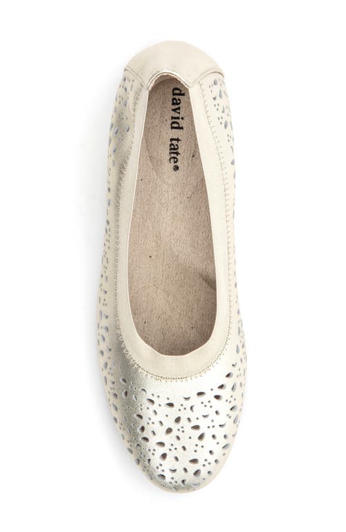 David Tate Laser Cut Ballet Flat In Platinum Calf