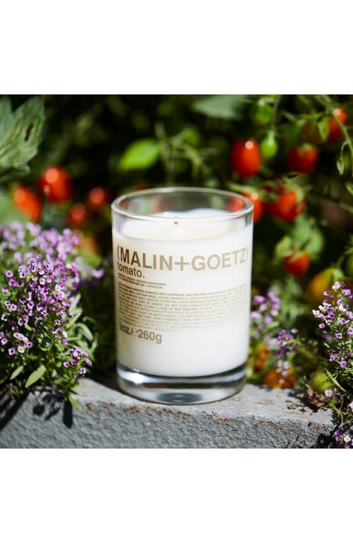 Malin + Goetz Tomato Scented Candle In No Color
