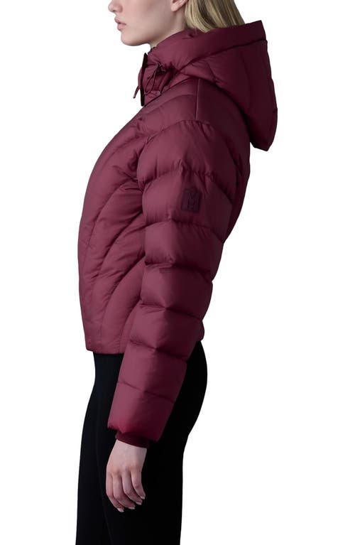 Shop Mackage Hope 750 Fill Power Down Puffer Jacket In Garnet