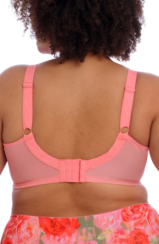 Shop Goddess Kayla Full Figure Underwire Bra In Rose Garden