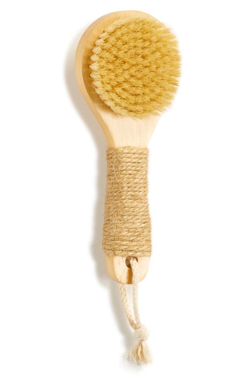Dry Brush in Natural