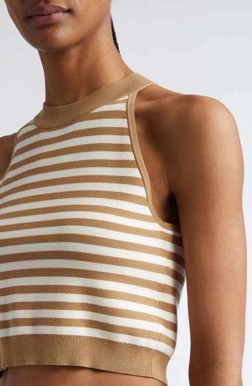 Shop Max Mara Tenna Stripe Sleeveless Crop Sweater In Honey