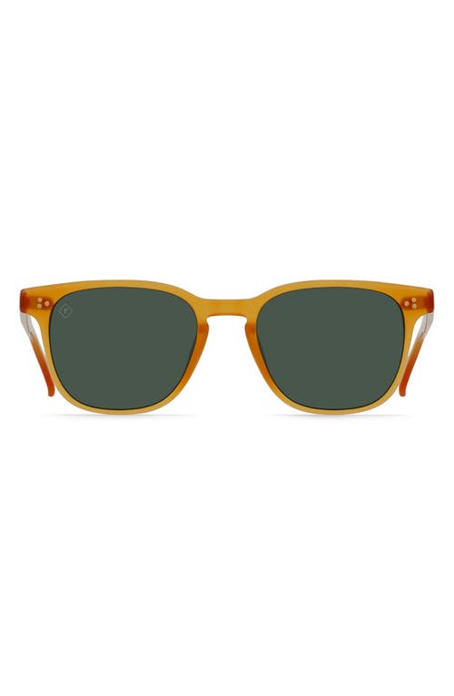 Alvez Round Polarized Square Sunglasses in Honey/Green Polar