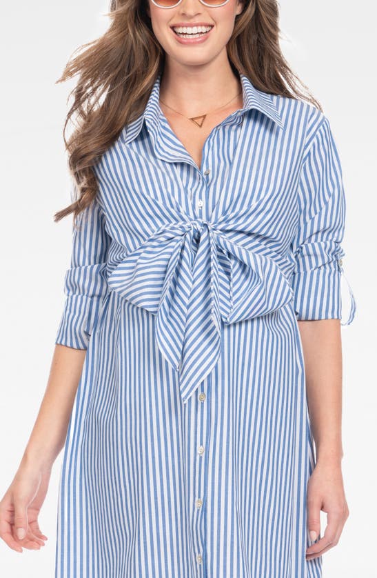 Shop Seraphine Stripe Long Sleeve Maternity/nursing Shirtdress In Blue Stripe