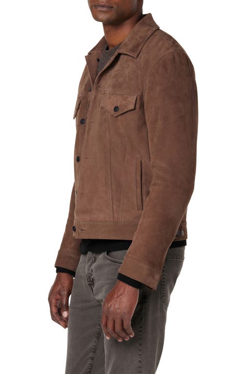 Joe's Cash Suede Trucker Jacket In Oakwood