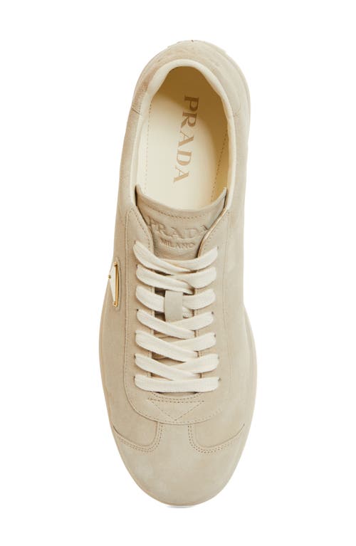 Shop Prada Lane Triangle Logo Sneaker In Pomice