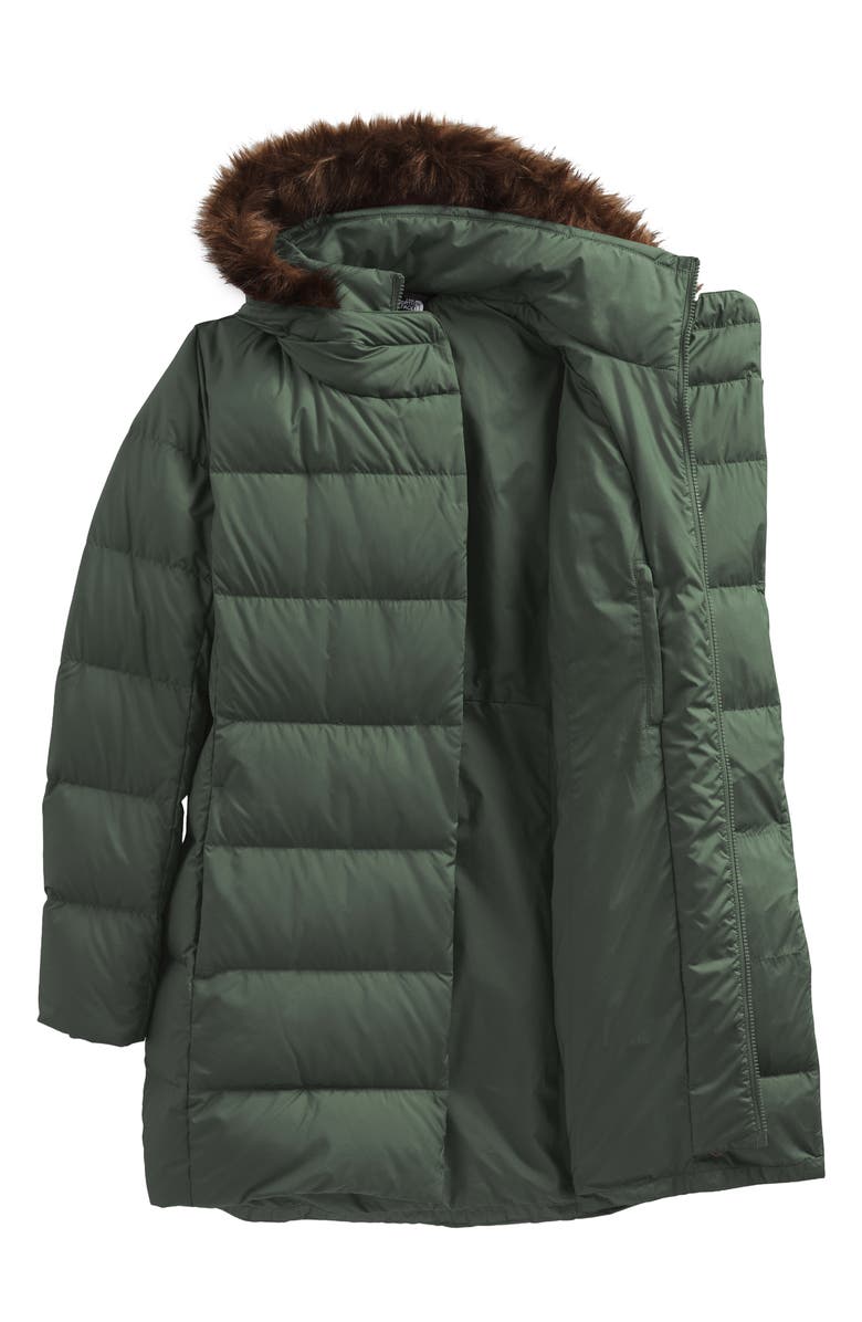 The North Face New Dealio Water Repellent 550 Fill Power Down Parka ...