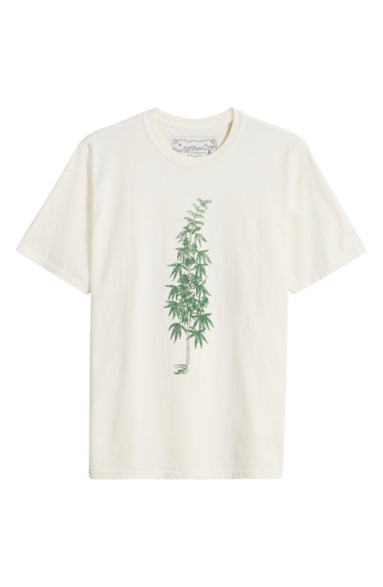 One Of These Days More Peace More Freedom Cotton Graphic T-shirt In Bone