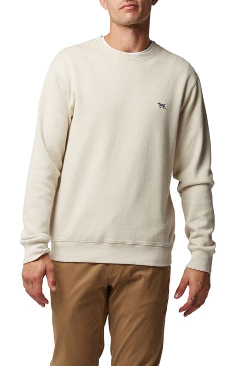 Men's 100% Cotton Crewneck Sweaters | Nordstrom