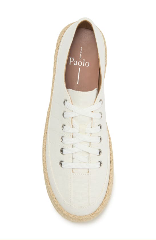 Shop Linea Paolo Sanny Espadrille Sneaker In White