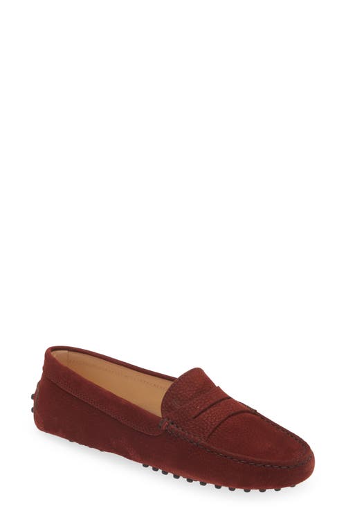 Tod's Gommini Driving Loafer in Granada Red at Nordstrom, Size 10Us
