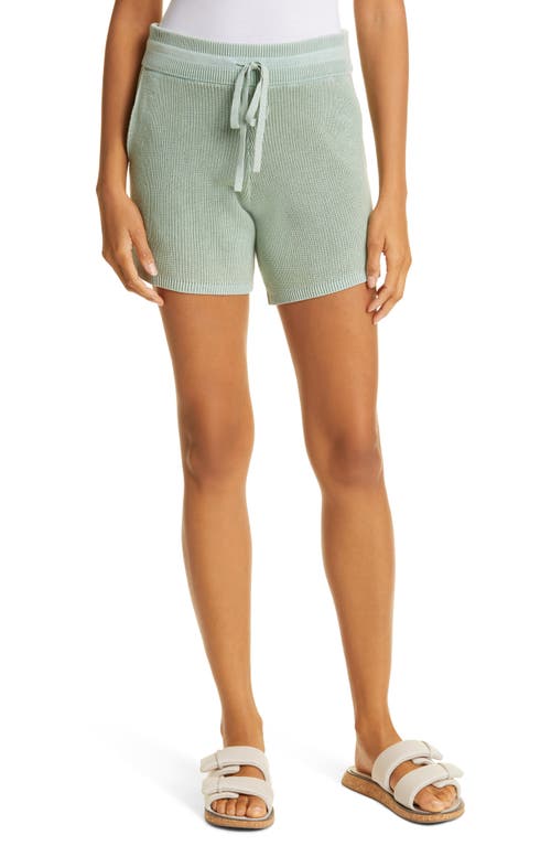 rag & bone Demi Organic Cotton Knit Shorts in Sage at Nordstrom, Size Xx-Small