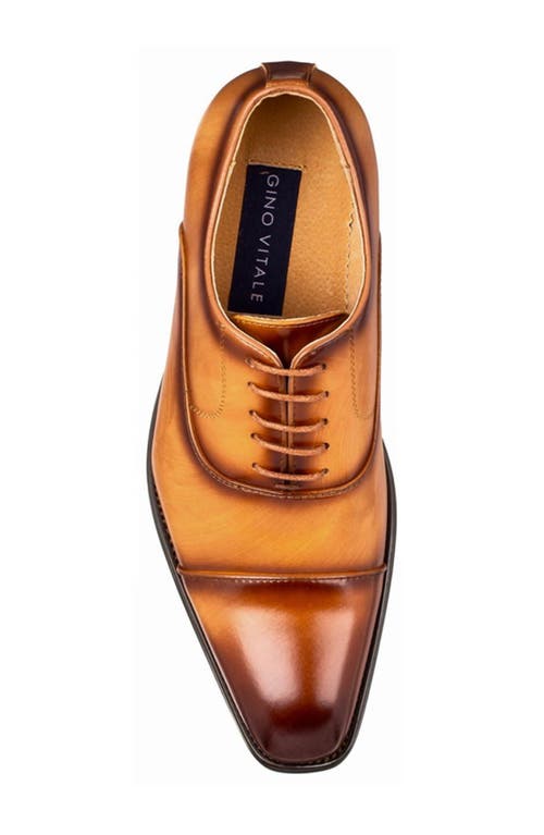 Gino Vitale Cap Toe Oxford In Brown
