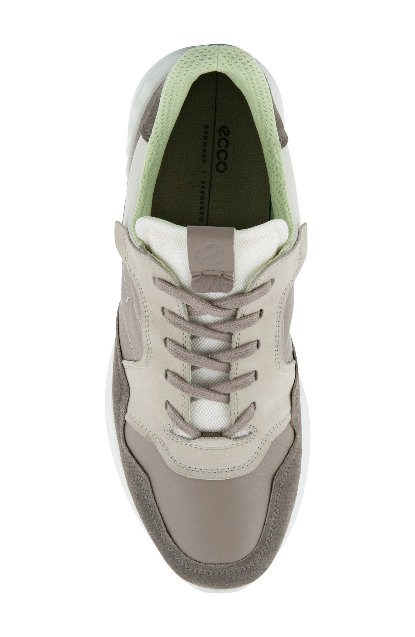 ecco astir lite