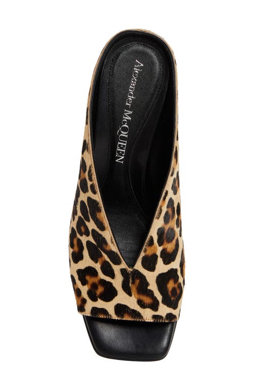 Shop Alexander Mcqueen Genuine Calf Hair Open Toe Mule In Leopard Print Calf Hair/black