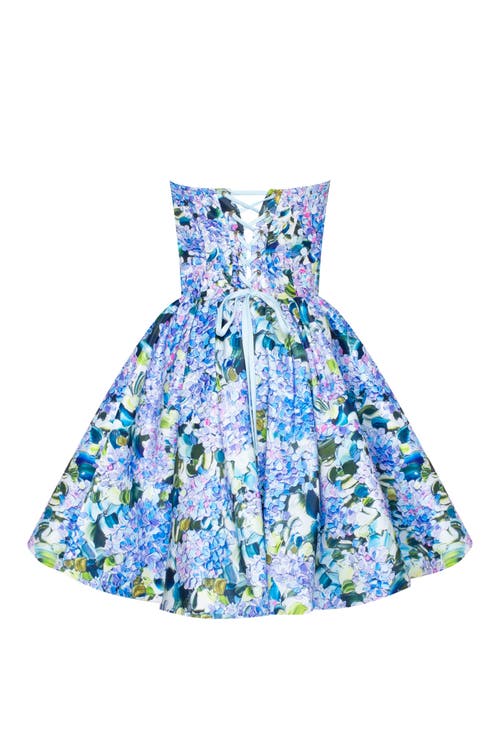 Shop Milla Hydrangea Corset Mini Dress