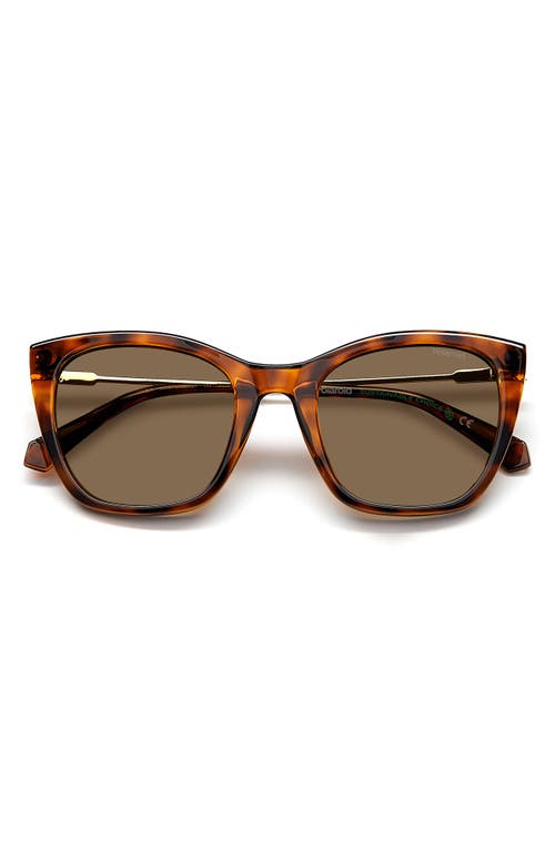 Polaroid 52mm Polarized Cat Eye Sunglasses In Havana/bronze Polar