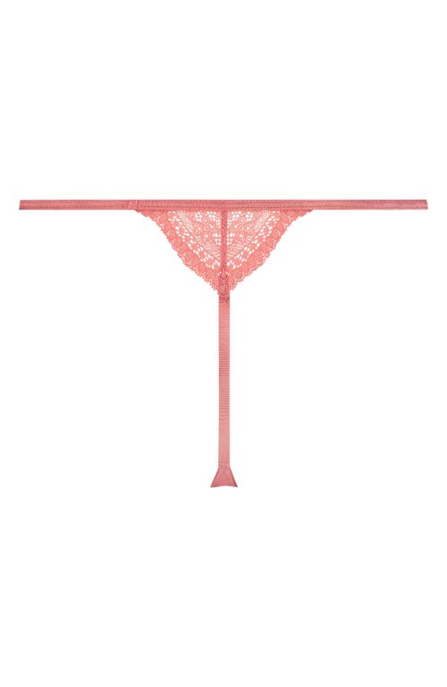 Shop Hunkemoller Hunkemöller Isabelle Lace G-string In Tea Rose