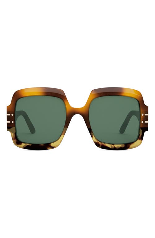 DIOR 55mm Square Sunglasses in Blonde Havana /Green