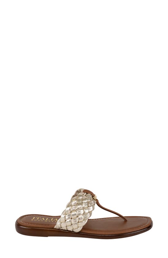 ITALIAN SHOEMAKERS ITALIAN SHOEMAKERS HASLEY FLIP FLOP