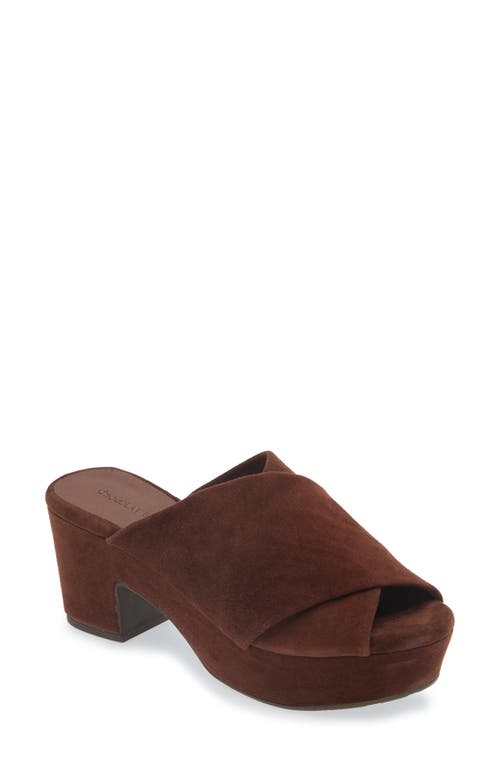 Chocolat Blu Georgette Platform Slide Sandal In Chocolate