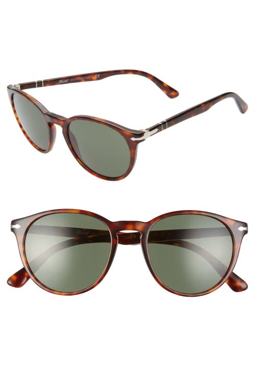 Persol 52mm Round Sunglasses In Brown/green