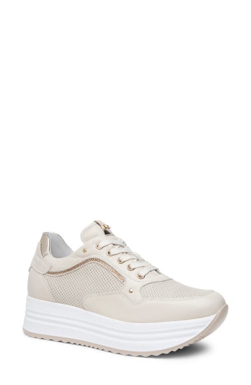 Shop Nerogiardini Perfed Platform Sneaker In Beige/khaki