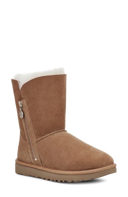 UGG(R) Bailey Short Boot in Chestnut Suede