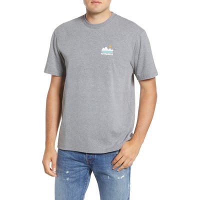 Patagonia Fed Up With Melt Down Graphic Responsibili-Tee T-Shirt