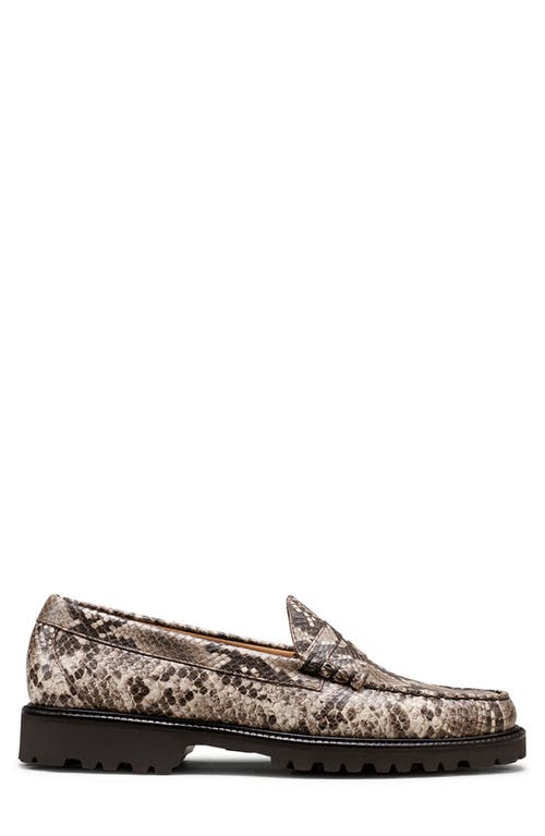 Shop G.h.bass Larson Snakeskin Embossed Penny Loafer In Natural Multi