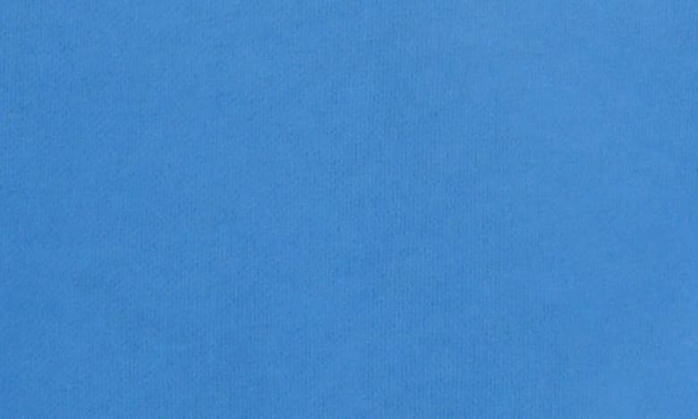 Cult Of Individuality Shimuchan Flocked Logo Graphic Hoodie In Vintage Blue