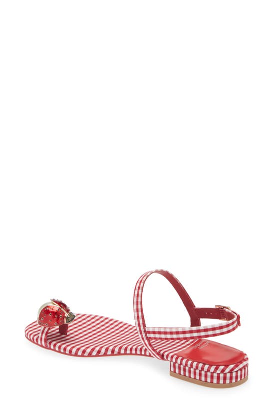 Shop Jeffrey Campbell Beeanca Sandal In Red White Gingham Combo
