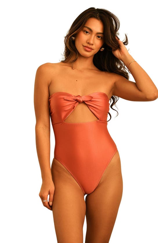 Shop Dippin Daisys Devon One Piece In Dusty Rose