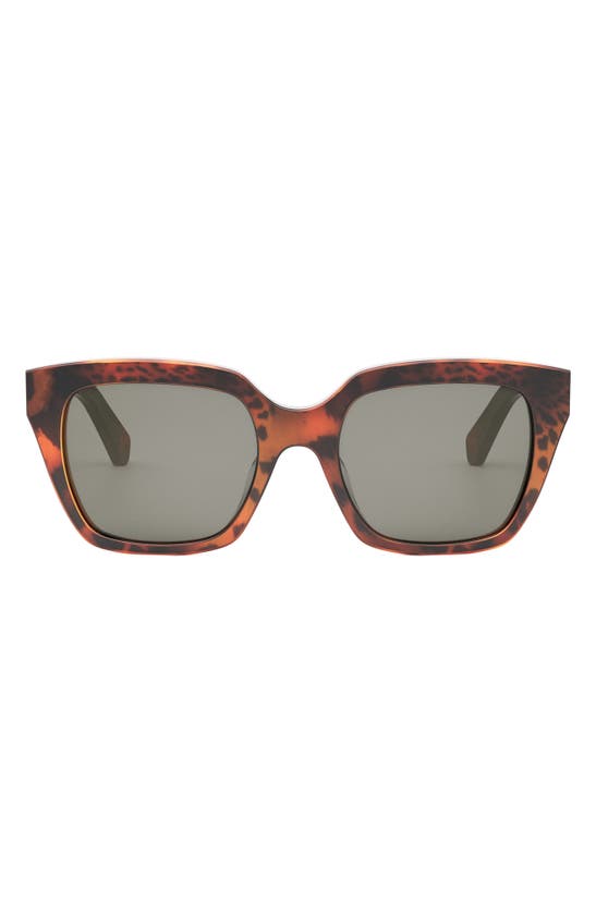 Shop Celine Monochroms 56mm Square Sunglasses In Animal / Smoke