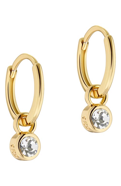 Ted Baker London Sinalaa Crystal Mini Huggie Hoop Earrings in Gold Tone Clear Crystal at Nordstrom