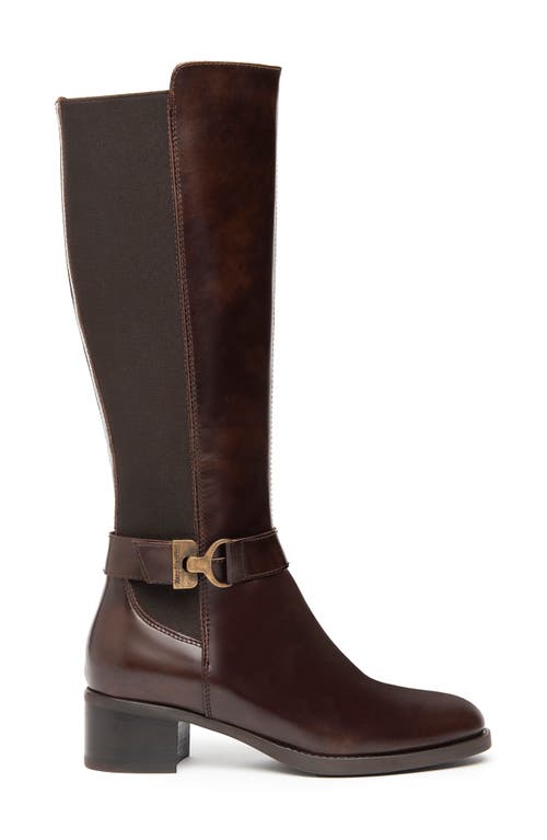 Nerogiardini Leather Stretch Buckle Knee Boots In Brown