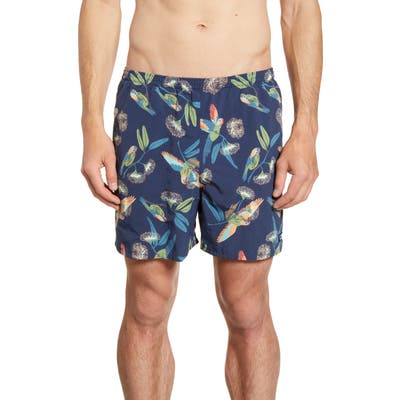 Patagonia Baggies 5-Inch Swim Trunks, Blue