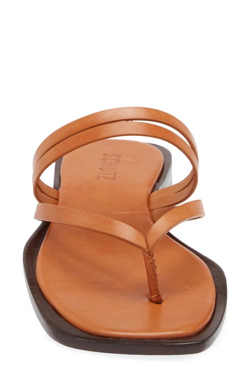 Shop Schutz Rania Strappy Flip Flop In Cuoio Brown