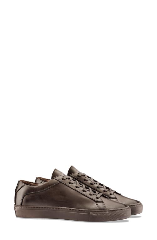 Koio Capri Sneaker in Dark Brown Leather