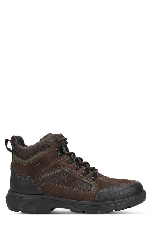 Shop Rockport Ronan Waterproof Sneaker In Dark Brown