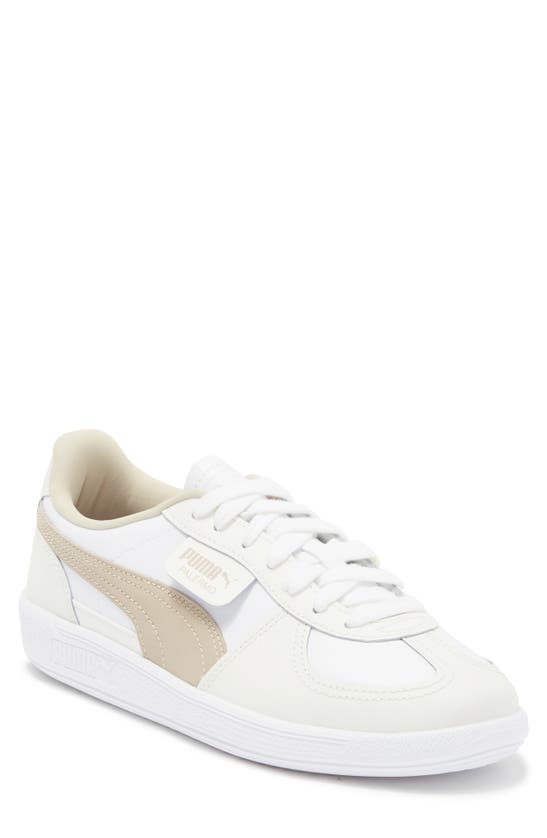 Shop Puma Palermo Sneaker In  White-warm White