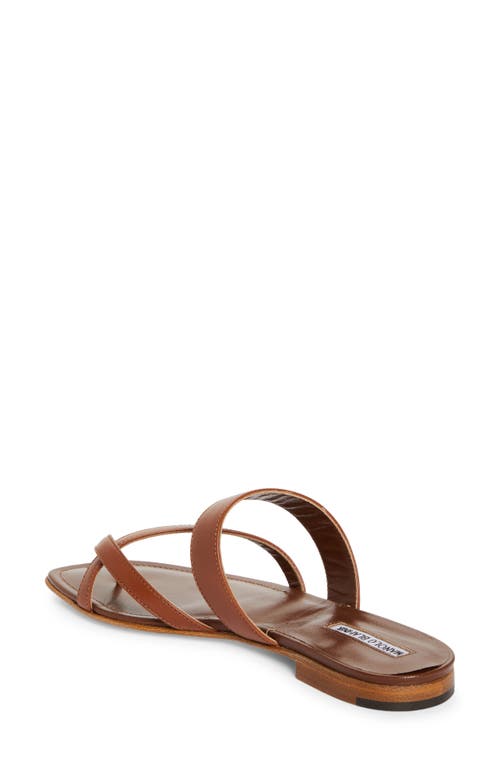 Shop Manolo Blahnik Susa Sandal In Brown