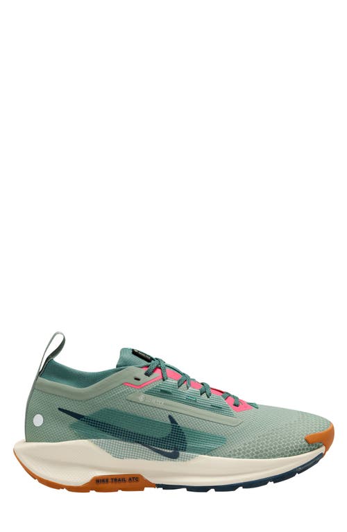 Shop Nike Pegasus Trail 5 Gore-tex® Waterproof Running Shoe In Jade Horizon/navy/bicoastal