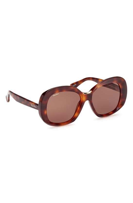 Shop Max Mara Edna 55mm Round Sunglasses In Dark Havana / Brown