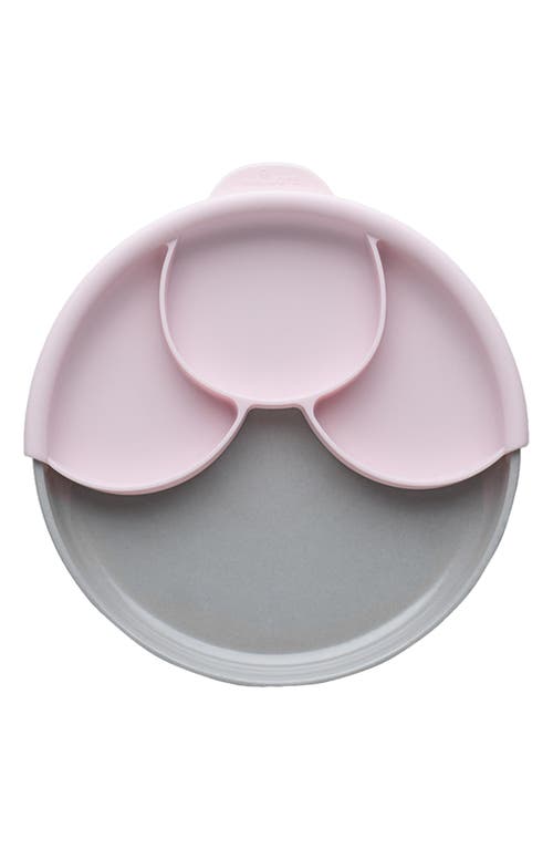 Miniware Healthy Meal Plate in Cotton Candy/Cotton Candy at Nordstrom