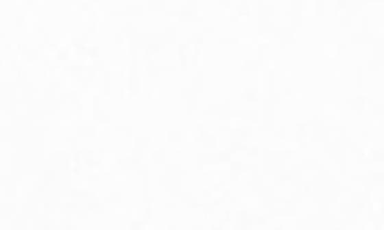 700 fill power stretch down parka