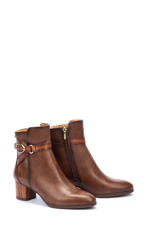 Shop Pikolinos Calafat Buckle Bootie In Topo